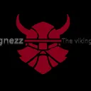 Viking nezz