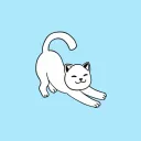 Shake like a cat Community