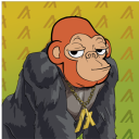 Monko | Algorillas