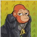 Monko | Algorillas