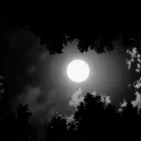 🌘Lunar Café🌒's icon