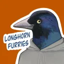 Longhorn Furries
