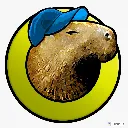 Capivara Play