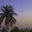 Desi District