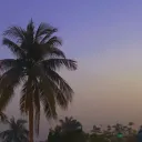 Desi District