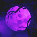 Cherry's Moonlit Grove