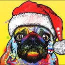 Puggies