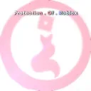 Protection Of Roblox