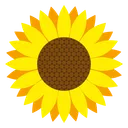 Jevitontos 🌻