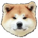 Arbi Inu