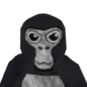 Black.vrl server