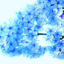 The Cold Tree