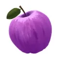 GrapeAppleのサーバー