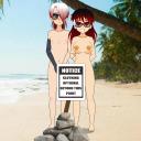 Public Nudity Zone 2: Electric Boogaloo