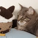 crochet club