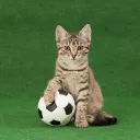 strangest moments in football