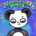 Sleepless Panda