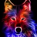 WOLF TEAM