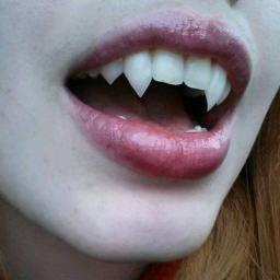 Discovery icon for /estacy | Pakistan & India Discord server