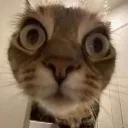 Hungry 不ん unit
