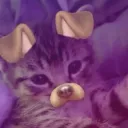 Velvet ⋆ Venom Discord Server Icon