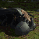 Dragon’s Lair