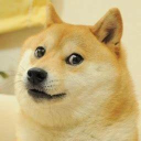 Dogger Server