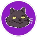 Sam Katman Music - #CNFTs, KATCOIN, PODCAST