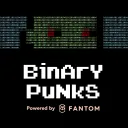 Binary Punks
