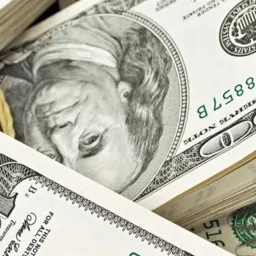 Investors United — мониторинг Discord сервера, статистика и рейтинг