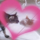 𝐘𝟐𝐊 𝐁𝐈𝐓𝐂𝐇𝐄𝐒