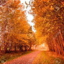 Here For You♥ Discord server icon