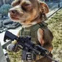 Army Chihuahuas