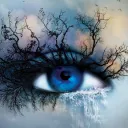 Shatter Me Sanctuary