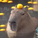 Capybara's Hideout