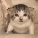 Без негатива