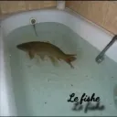 Official Le Fishe's Bathtub