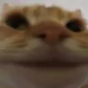 Xen's server