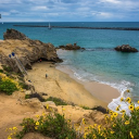 The Cove