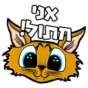 AMPlaying | השרת של אמפי