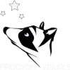 Procyon Visuals