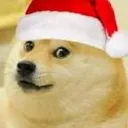 dogge community's icon