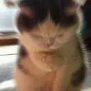 왁자지껄