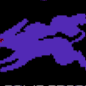 Pokémon Crystal Advance Redux