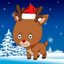 Baby Reindeer