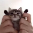 mxsiac.'s Square (former GHØ$T... Discord Server Icon