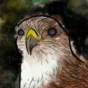 Aximals