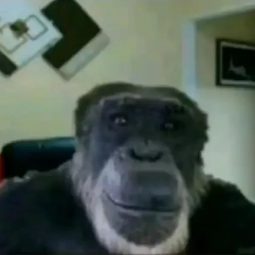 Black People - Discord Server Black People - Discord Server