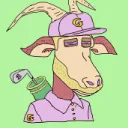 Golf Goats Clubhouse server
