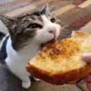 Oofington Discord Server Icon